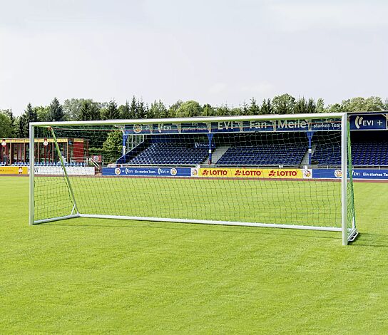 Trainingstor MALMÖ - Ausführung 1, mit Netz (Zubehör)