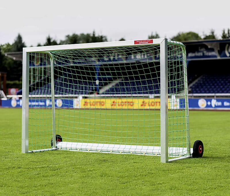 Mini-Tor SAFEGUARD, Höhe 1600 mm