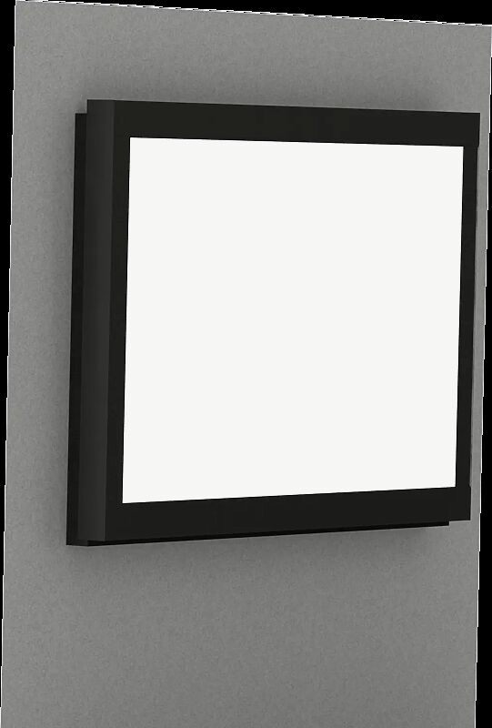 Schaukasten C-LIGHT IF in RAL 9005 tiefschwarz