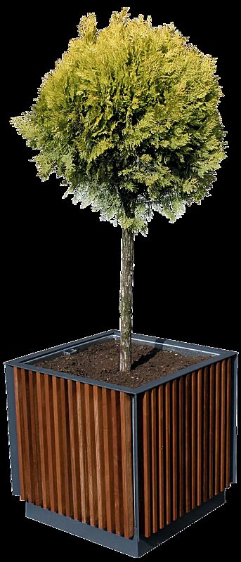 Pflanzbehälter FLORIUM, quadratisch, mit Jatobaholzbelattung, Stahlteile in RAL 7016 anthrazitgrau