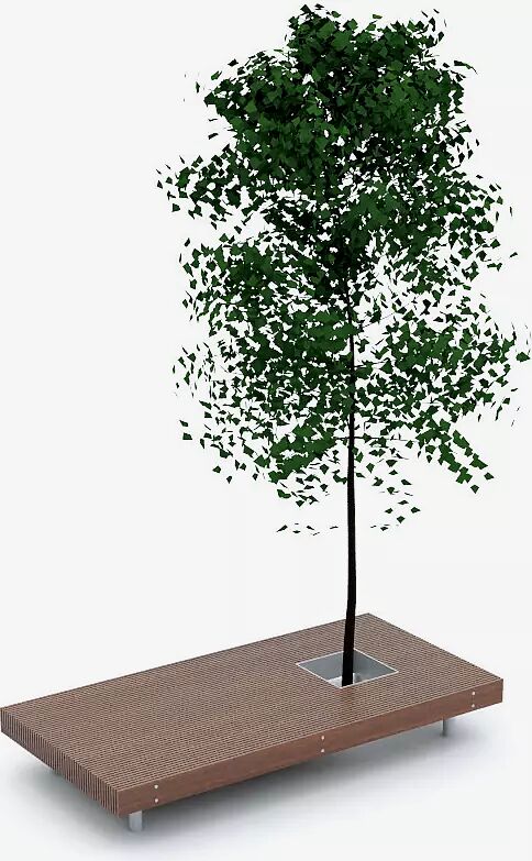 Sitzbank WOODY mit Aussparung für Baum, mit Jatobaholzbelattung