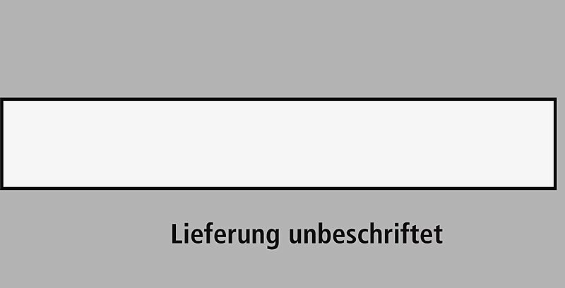 Hinweisschild ZUM SELBSTBESCHRIFTEN 110 x 520 mm