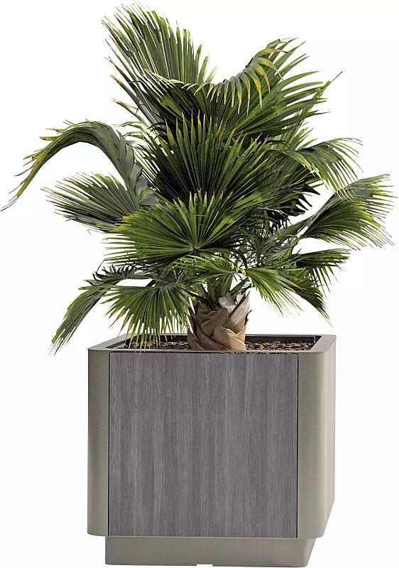 Pflanzbehälter PAOSA, Stahlteile in DB 701 eisenglimmer, Korpus aus grauem Zedernholz