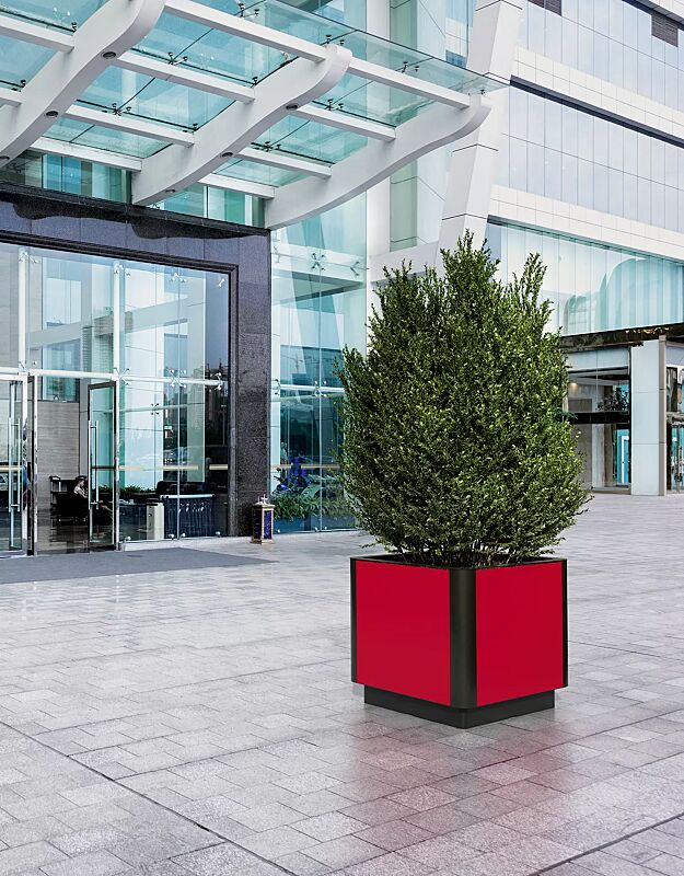 Pflanzbehälter PAOSA, Stahlteile in DB 703 eisenglimmer, Korpus aus rotem Zedernholz