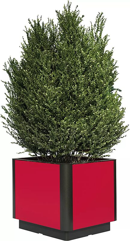 Pflanzbehälter PAOSA, Stahlteile in DB 703 eisenglimmer, Korpus aus rotem Zedernholz