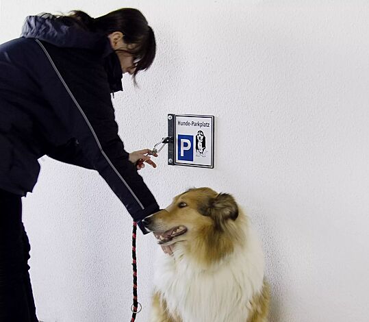 Hunde-Parkplatz BEAGLE zur Wandbefestigung, in RAL 7016 anthrazitgrau