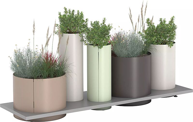 Pflanzbehälter POLYS mit rechteckiger Plattform, mit fünf zylindrischen Behältern RAL 1019 graubeige, RAL 1013 perlweiß, RAL 6019 weißgrün und RAL 8019 graubraun