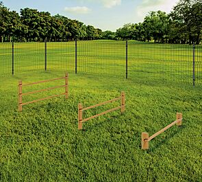 Hundesprunghürde EYKE