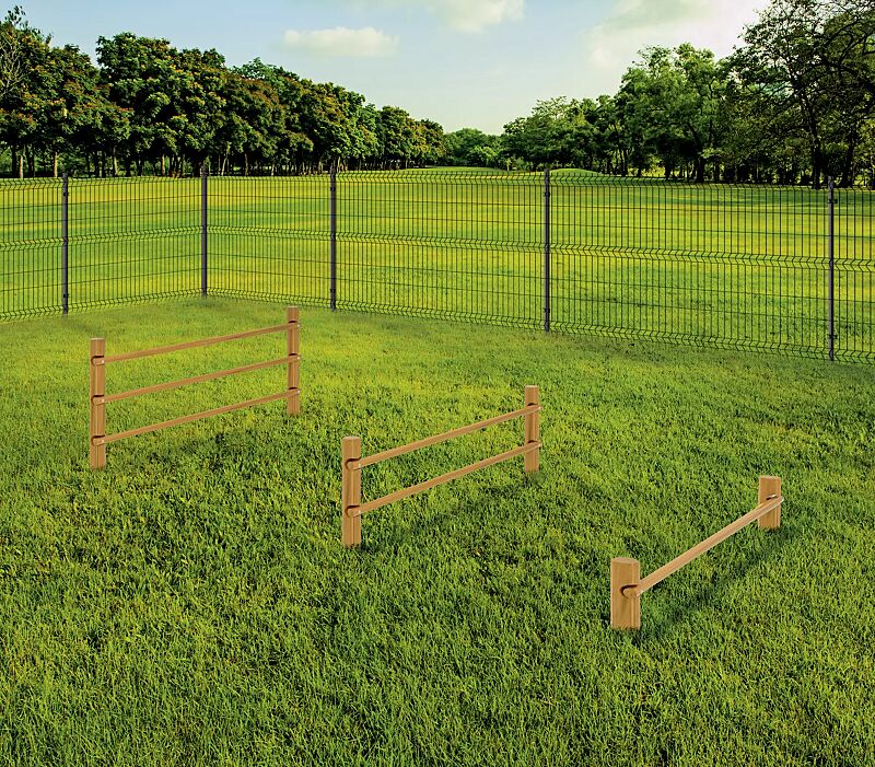 Hundesprunghürde EYKE