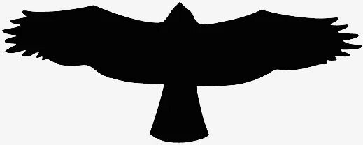 Raubvogelaufkleber "Bussard"