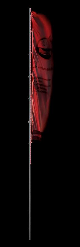 397.320/led-fahnenmast-appear-hoehe-ueber-flur-7-m-ohne-ausleger__shoKAT0009369