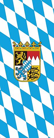 Flaggenfritze/® Gro/ße Stockflagge Schwenkflagge Einfarbig Gr/ün 60 x 90 cm