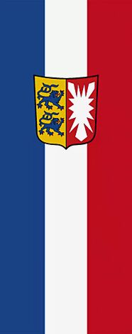 Flaggenfritze/® Gro/ße Stockflagge Schwenkflagge Einfarbig Gr/ün 60 x 90 cm