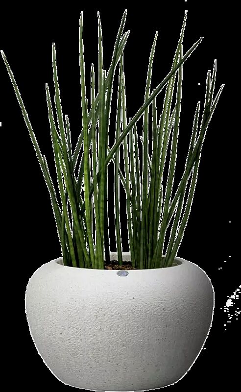 Pflanzbehälter LUNAO aus Beton gestockt, in Granitoptik weiß