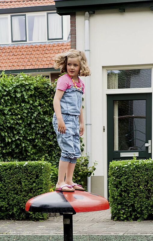 Einzelwippe MARIENKÄFER