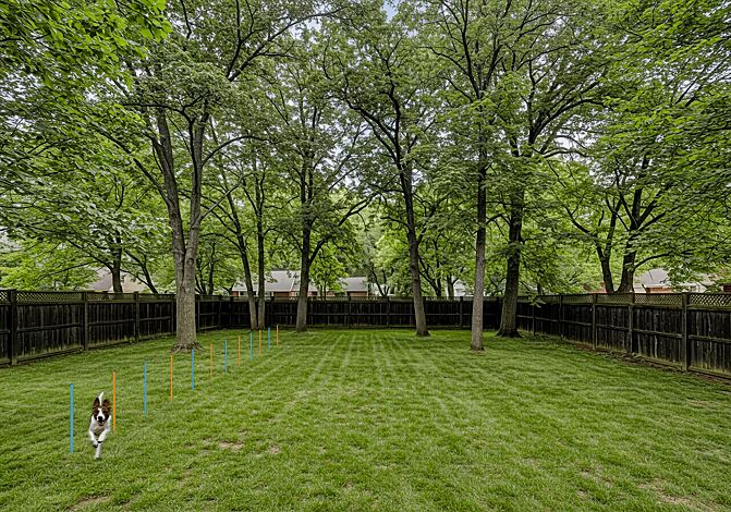 Hundeslalomstangen ESKO in RAL 5015 himmelblau und RAL 1023 verkehrsgelb