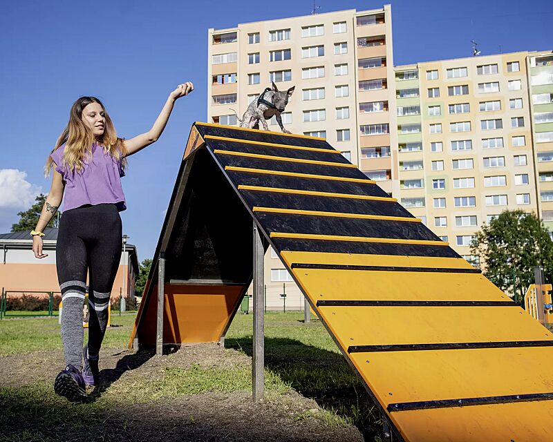 Hundekletterwand KIELO, Laufflächen in daliengelb ähnlich RAL 1033 und RAL 9005 tiefschwarz
