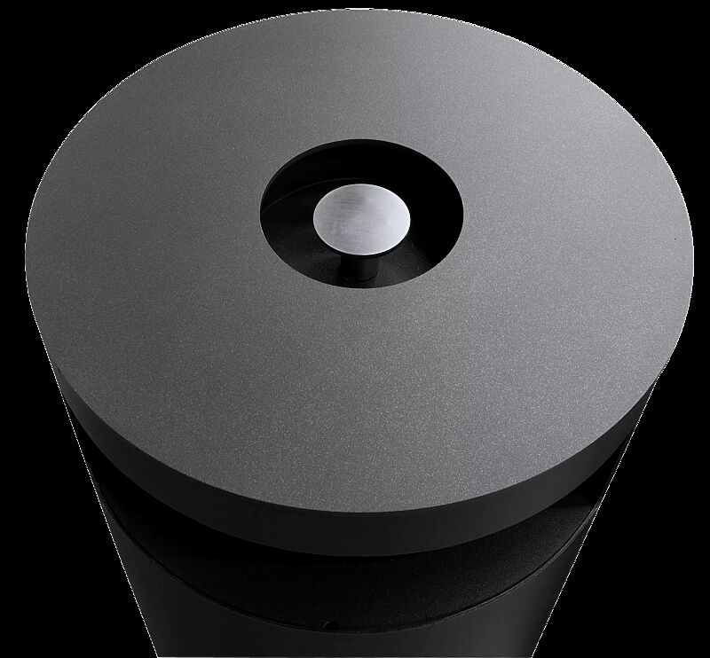 Detail: kleiner Ascher