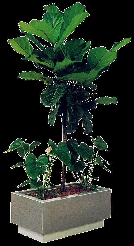 Pflanzbehälter FLORIUM, rechteckig, Breite 700 mm, in RAL 9007 graualuminium