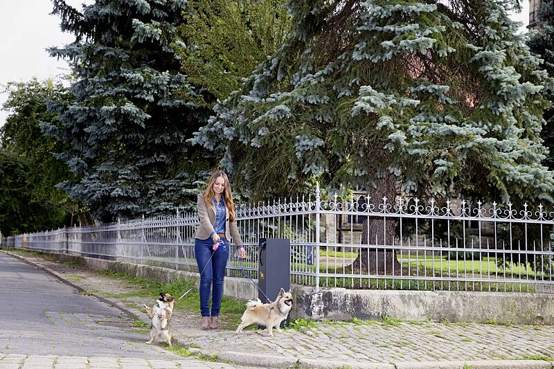 Hundetoilette CRYSTAL in RAL 7016 anthrazitgrau, Siebdruck in RAL 1028 melonengelb