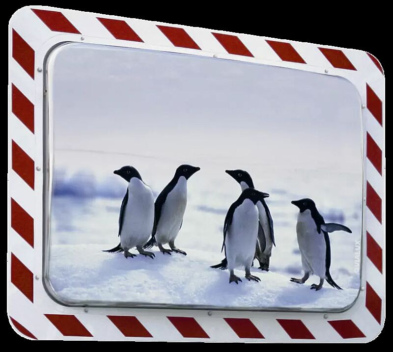 Anti-Frost-/Anti-Beschlag-Spiegel VIALUX