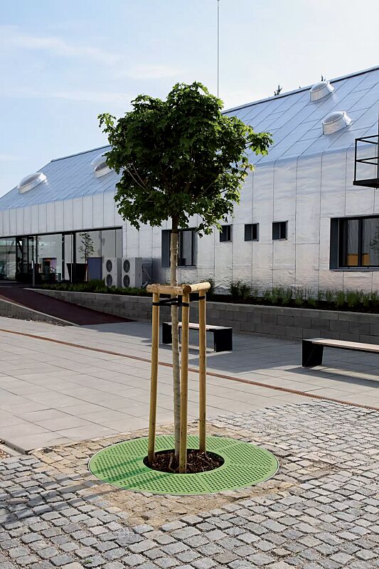 Baumschutzrost SINUS in RAL 6010 grasgrün