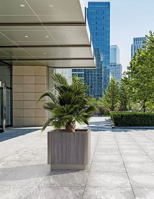 Pflanzbehälter PAOSA, Stahlteile in DB 701 eisenglimmer, Korpus aus grauem Zedernholz