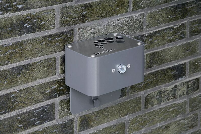 ascher-ashfield__shoKAT0020879 ascher-ashfield__shoKAT0020879