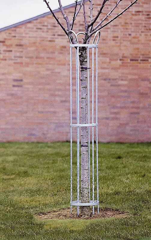 baumschutzgitter-tulip__shoKAT0018079 Baumschutzgitter TULIP, 1500 x 345 mm, feuerverzinkt