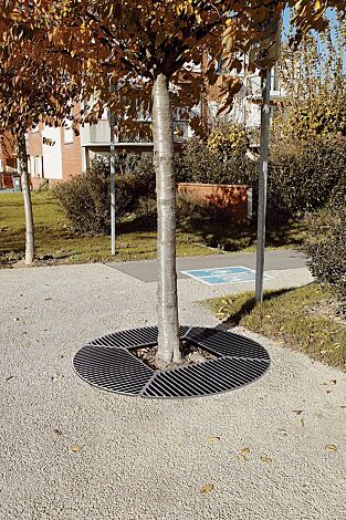 Baumschutzrost COMPACT rund, in RAL 9005 tiefschwarz
