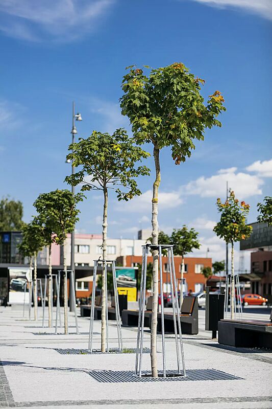 baumschutzrost-und--gitter-arbottura__shoKAT0056742 Baumschutzrost ARBOTTURA, quadratisch, mit Baumschutzgitter