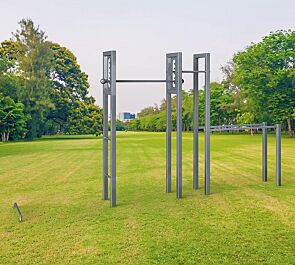 Calisthenics-Anlage SALMON LADDER