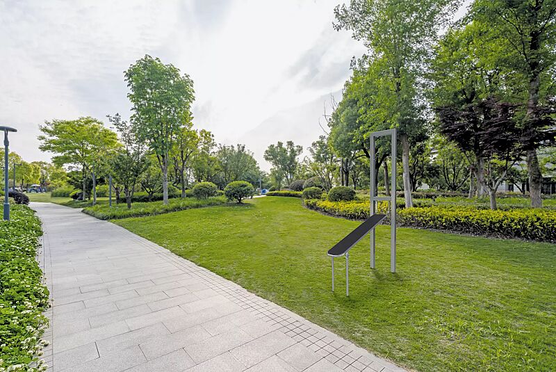 calisthenics-station-dragon-flag__shoKAT0069729 Calisthenics-Station DRAGON FLAG