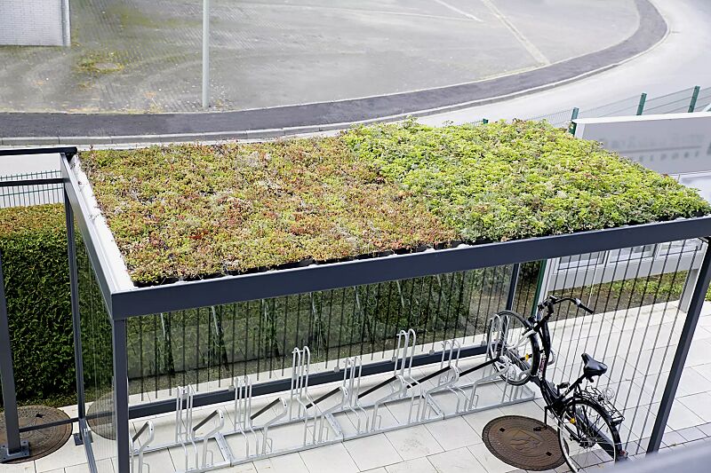 fahrradueberdachung-aquila-green__shoKAT0068496 links: Dachbegrünungssystem Economy, rechts: Dachbegrünungssystem Premium