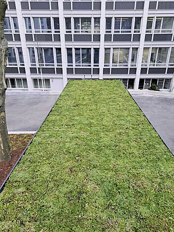 Detail: Dachbegrünungssystem MOBIROOF ECO