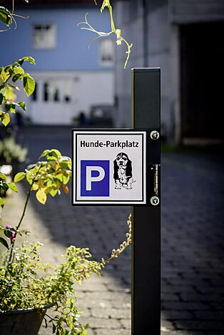 Hunde-Parkplatz BEAGLE zur Wandbefestigung, in RAL 7016 anthrazitgrau