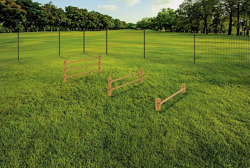 hundesprunghuerde-eyke__shoKAT0073664 Hundesprunghürde EYKE