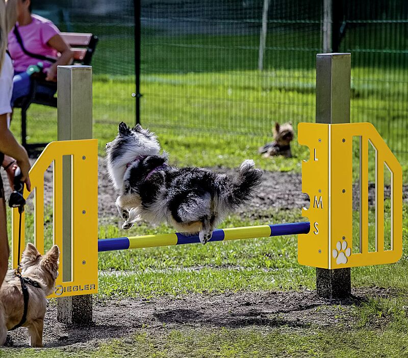 Hundesprunghürde ONNI, Kunststoffelemente ähnlich RAL 1023 verkehrsgelb und RAL 9003 signalweiß