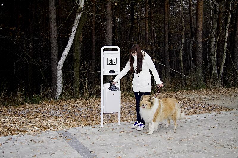 hundetoilette-collie__shoKAT0024624 Beutel einwerfen