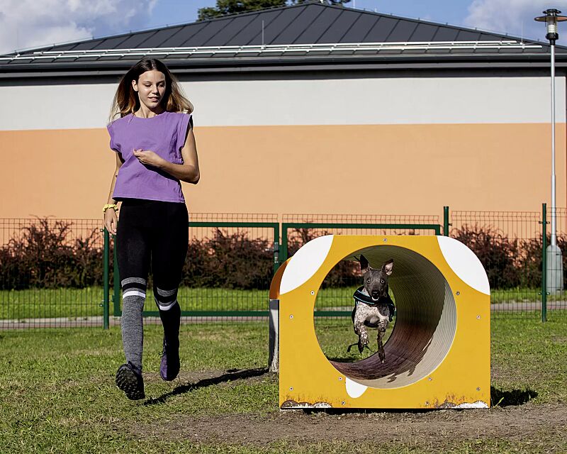 hundetunnel-veikko__shoKAT0072278 Hundetunnel VEIKKO, Kunststoffpaneele in daliengelb ähnlich RAL 1033 und RAL 9003 signalweiß