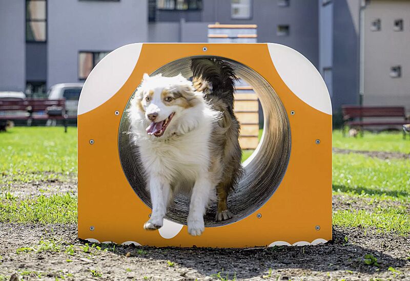 hundetunnel-veikko__shoKAT0073568 Hundetunnel VEIKKO, Kunststoffpaneele in daliengelb ähnlich RAL 1033 und RAL 9003 signalweiß