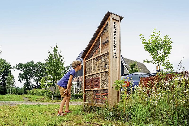 insektenhotel-bisu__shoKAT0071878 Insektenhotel BISU