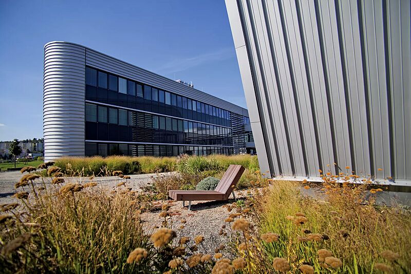 liegebank-woody__shoKAT0065162 Liegebank WOODY mit Jatobaholzbelattung