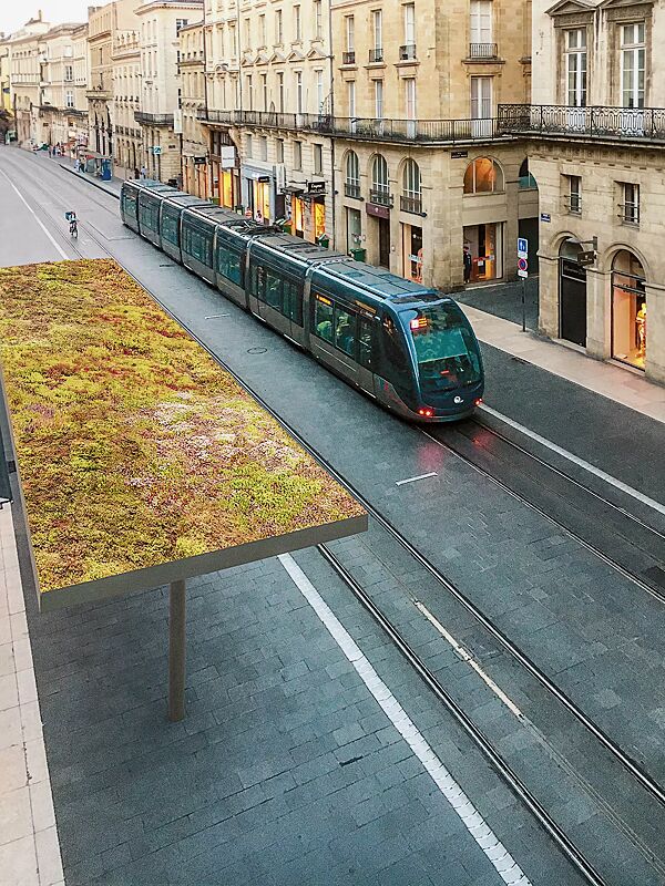 meeting-point-pin-green__shoKAT0071016 Meeting-Point PIN GREEN, Dachbreite x Dachtiefe 3080 mm x 3080 mm, mit bauseitiger Dachbegrünung, Stahlteile in RAL 7016 antrazitgrau