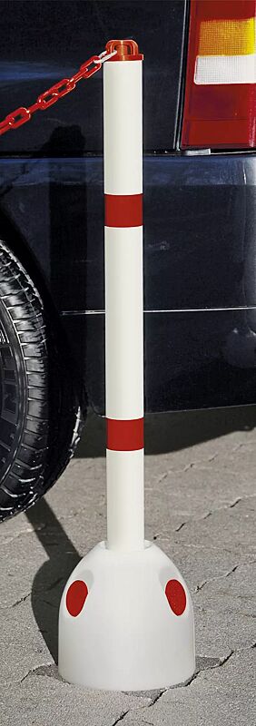 parkpilz-arafo__shoKAT0003353 Parkplatzpilz