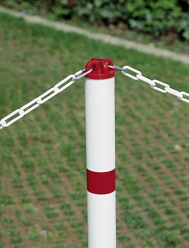 parkpilz-arafo__shoKAT0017628 parkpilz-arafo__shoKAT0017628