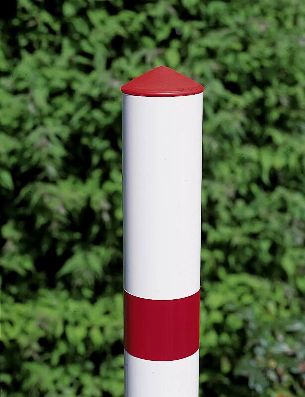 parkpilz-arafo__shoKAT0017629 parkpilz-arafo__shoKAT0017629