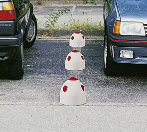 Parkplatzpilz