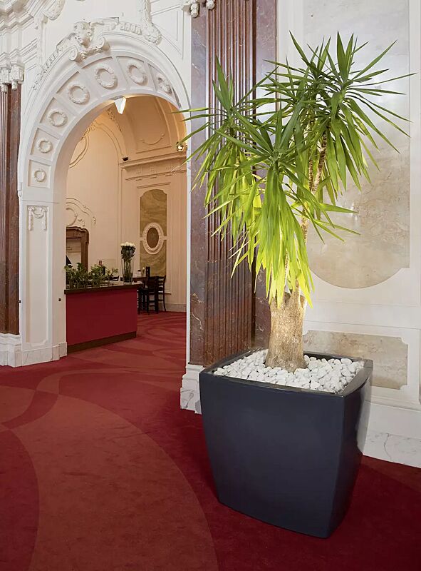 pflanzbehaelter-delhi__shoKAT0033254 Pflanzbehälter DELHI in anthrazitgrau ähnlich RAL 7016