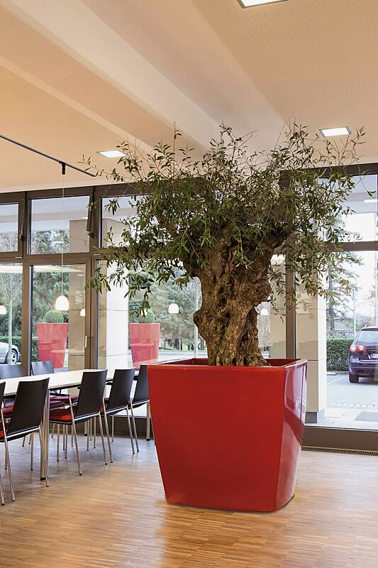 pflanzbehaelter-delhi__shoKAT0042478 Pflanzbehälter DELHI in rubinrot ähnlich RAL 3003